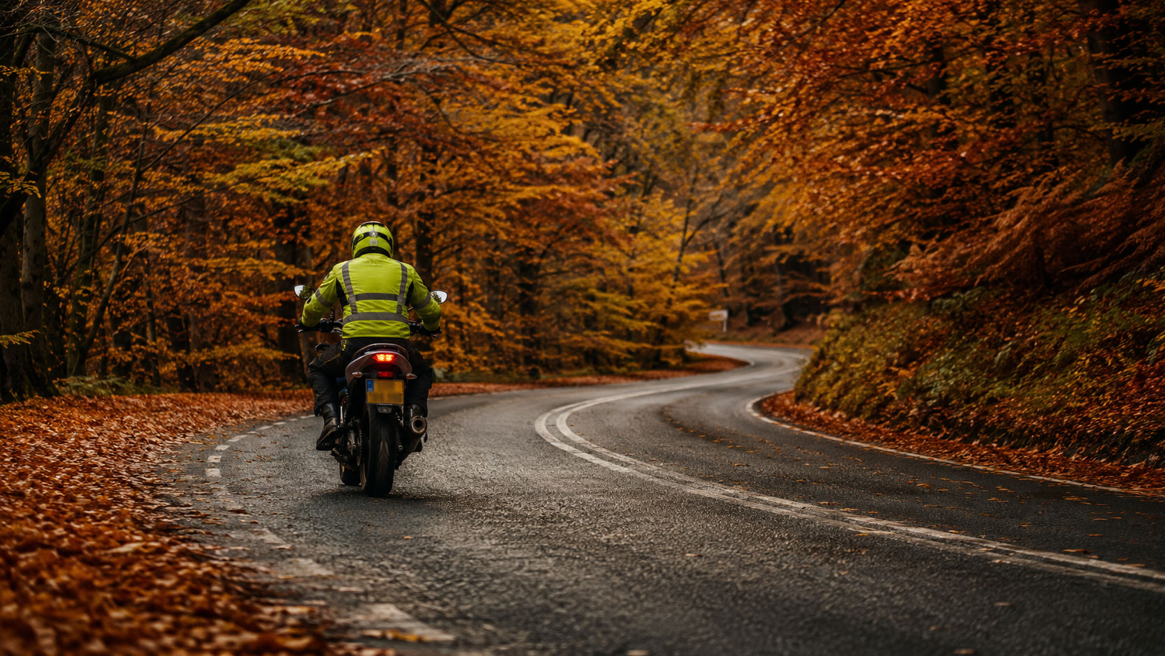 A rider wearing high-vis on an autumn road